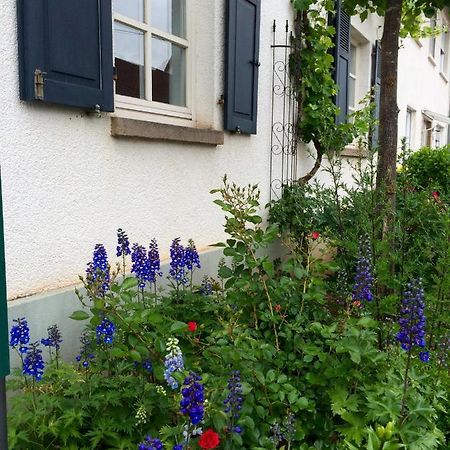 Seelig'S Weinsheim  Luaran gambar