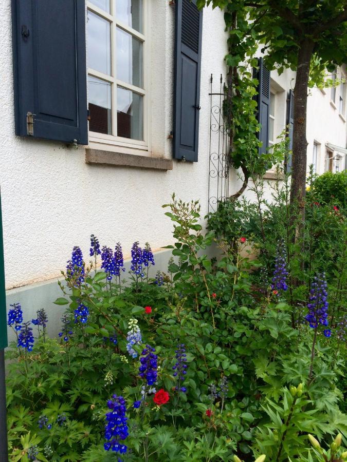 Seelig'S Weinsheim  Luaran gambar